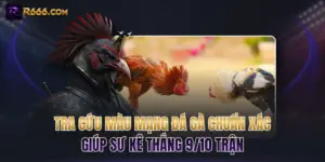 Tra Cứu Màu Mạng Đá Gà Chuẩn Xác Giúp Sư Kê Thắng 9/10 Trận