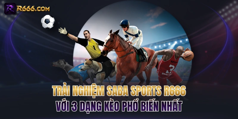 Trải Nghiệm SABA Sports R666 Cùng 3 Dạng Kèo Phổ Biến Nhất