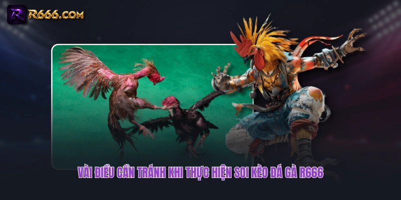 Vài điều cần tránh khi thực hiện soi kèo đá gà R666
